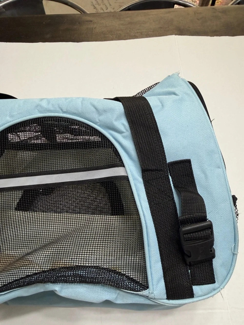 Paws & Pals Light Blue Pet Carrier with Black Mesh